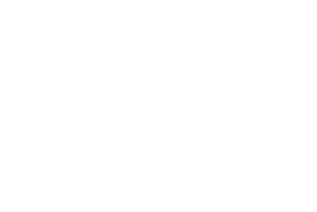 Zolem - Vidas que brillan