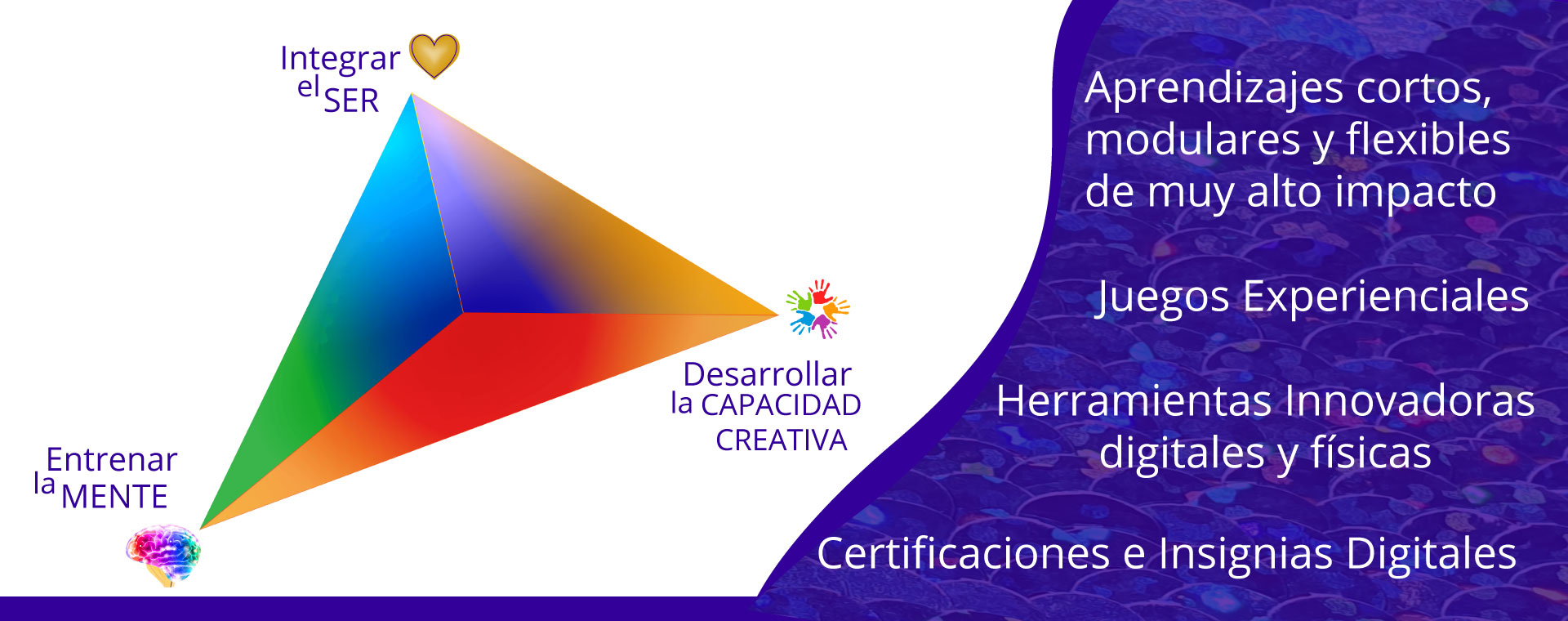 ENTRENAMIENTOS Y TALLERES EXPERIENCIALES Evolución en Seres Humanos y Organizaciones. Aprendizajes cortos, modulares y flexibles de muy alto impacto. Juegos experienciales. Herramientas innovadoras digitales y físicas. Certificaciones e Insignias Digitales. Integrar el ser, DEsarrollar la capacidad creativa y entrenar la mente