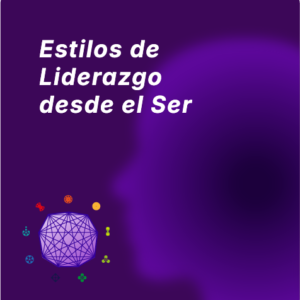 Test Estilos de Liderazgo desde el SER, Relacionamiento y Comunicación